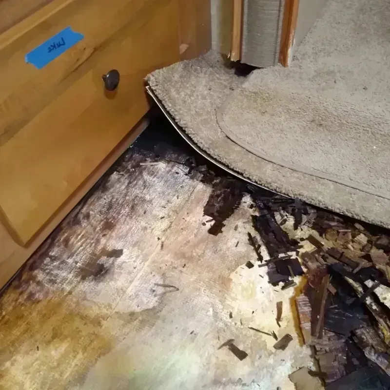 Wood Floor Water Damage in Coconut Creek, FL